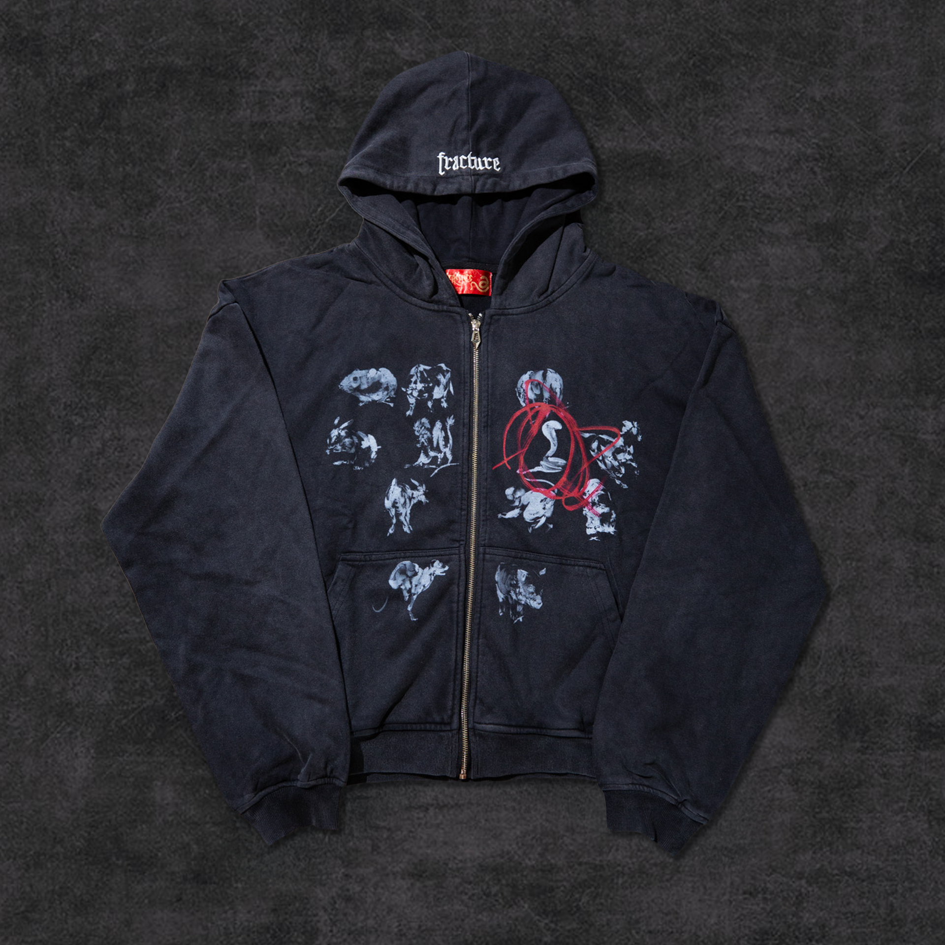 ZIPUP-snakesighting-frontv2.